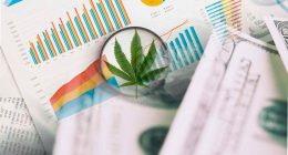 Top Marijuana Stocks To Watch Before May 2022