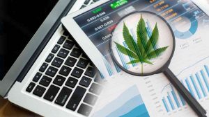 Cannabis Comeback: Best-Performing Marijuana Stocks of the Week