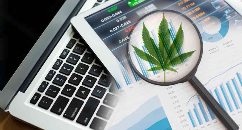Cannabis Comeback: Best-Performing Marijuana Stocks of the Week