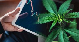 Best Marijuana Stocks To Buy For 2022 Now