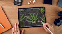 Cannabis Stocks To Watch Before Q1 2022 Earnings