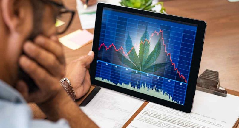 Marijuana Stocks Down In 2024