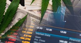 Top Cannabis Stocks Before June 2022