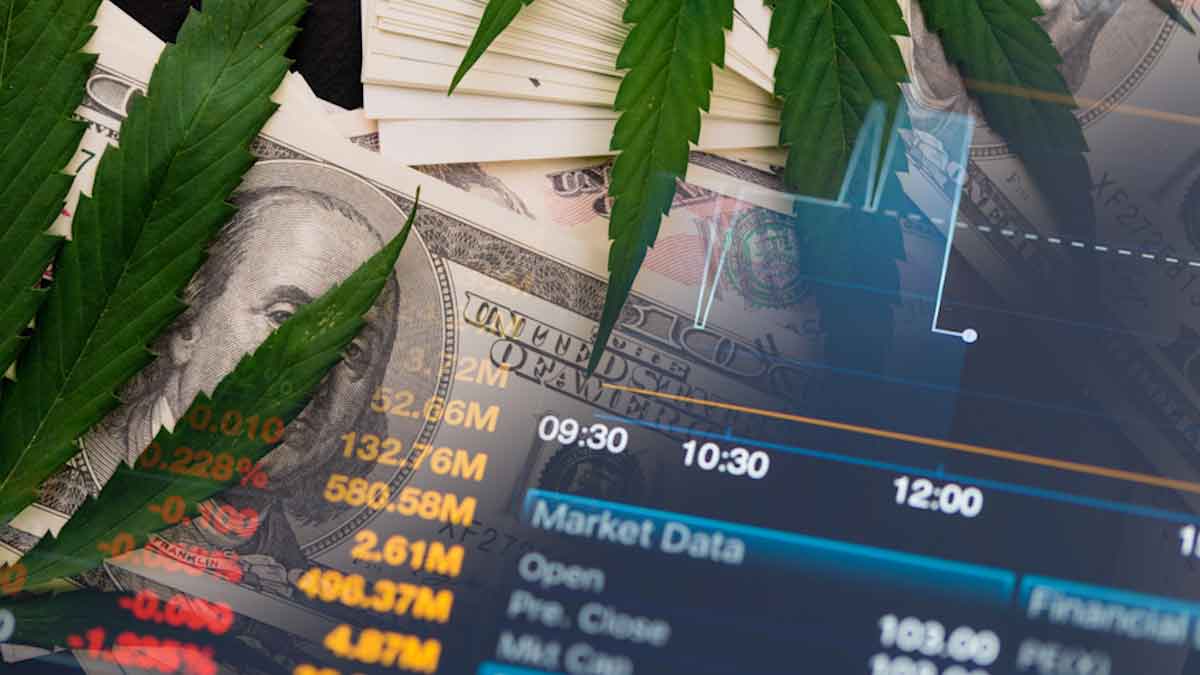 Top Cannabis Stocks Before June 2022