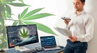 Top Cannabis Stocks For 2022 Watchlist_