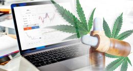 Top Cannabis Stocks For Gains This Week