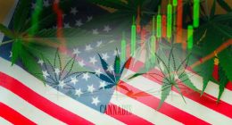 Best Marijuana Stocks To Buy Before Reform? 3 US Pot Stocks To Watch Now