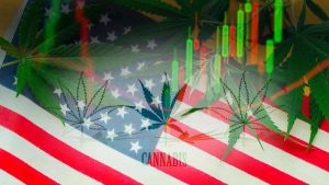 Best Marijuana Stocks To Buy Before Reform? 3 US Pot Stocks To Watch Now