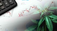 Best Cannabis Stocks 2nd Week In June 2022
