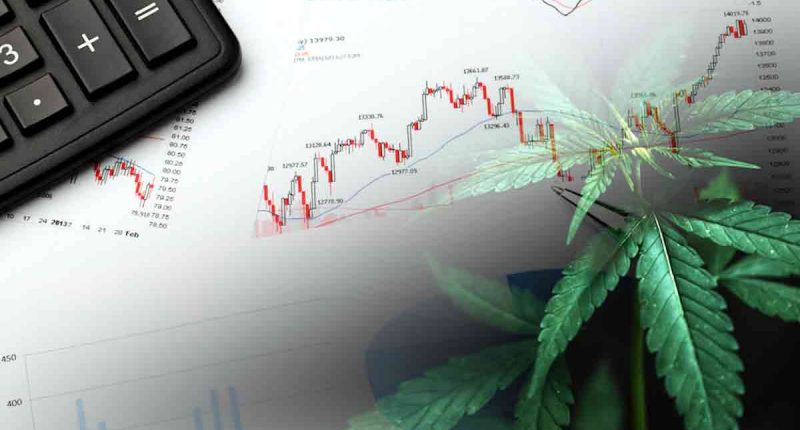 Best Cannabis Stocks 2nd Week In June 2022