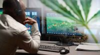 Top Marijuana Stocks Under $2 for This Week's Trading