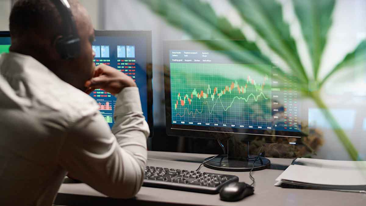 Top Marijuana Stocks Under $2 for This Week's Trading