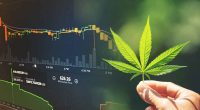 Best Cannabis Stocks To Buy For June 2022