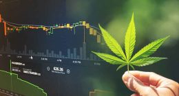 Best Cannabis Stocks To Buy For June 2022