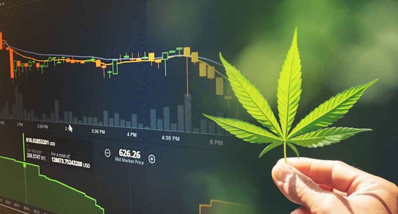 Best Cannabis Stocks To Buy For June 2022