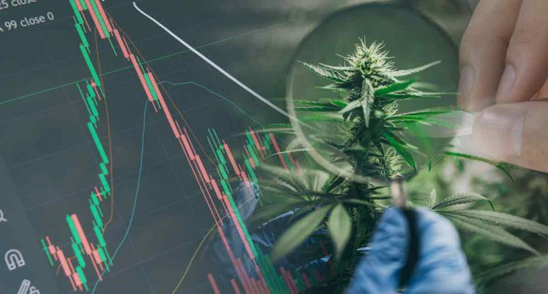 Best Cannabis Stocks To Buy Right Now? 3 For Your End Of June Watchlist