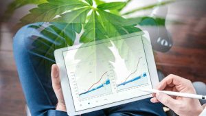 Investing in Cannabis: Best Marijuana Stocks for December 2024