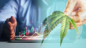 November Harvest: Best US Marijuana Stocks to Invest In