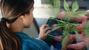 Best Marijuana ETFs To Buy In 2022? 4 For Your Watchlist In Q2