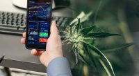 Top Canadian Cannabis Stocks to Follow Next Week