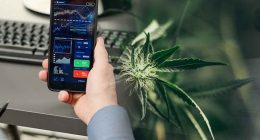 Top Canadian Cannabis Stocks to Follow Next Week