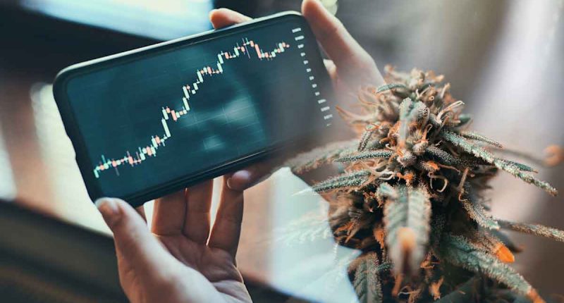 Cannabis Stocks On Watchlist For June 2022