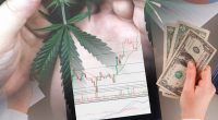 Top Picks for January 2024: Spotlight on Ancillary Cannabis Market Leaders