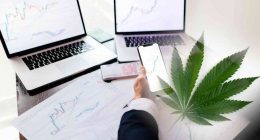 Top Cannabis Stocks Now In June