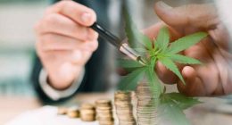 High Growth: Top Pot Stocks Making Moves into March 2024