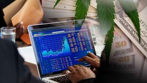 Best Ancillary Cannabis Stocks Gaining Attention After Last Week’s Rally