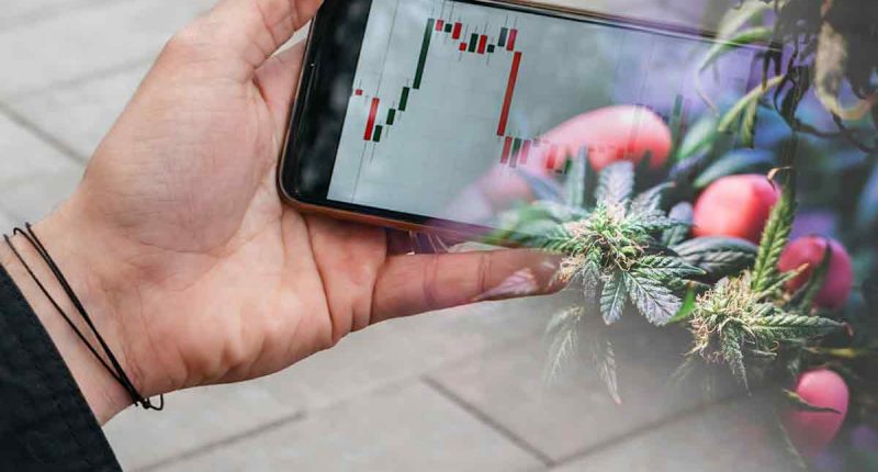 Trading Top Marijuana Stocks In July