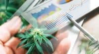 Top Marijuana Stocks To Buy In August? 2 Ancillary Plays To Watch Now