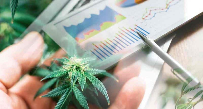 Top Marijuana Stocks To Buy In August? 2 Ancillary Plays To Watch Now