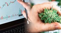 Best Canadian Cannabis Stocks For July 2022