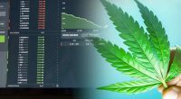 Best Cannabis Stocks For March This Week