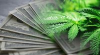 Best Ways To Invest In The Cannabis Industry? 4 Top Marijuana ETFs To Watch Now