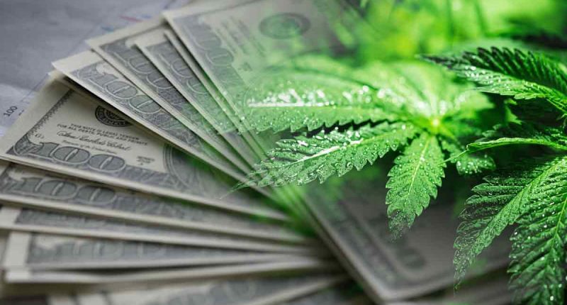 Best Ways To Invest In The Cannabis Industry? 4 Top Marijuana ETFs To Watch Now