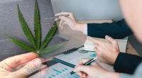 Marijuana Stocks To Buy This Week? 2 Ancillary Pot Stocks For Your July List