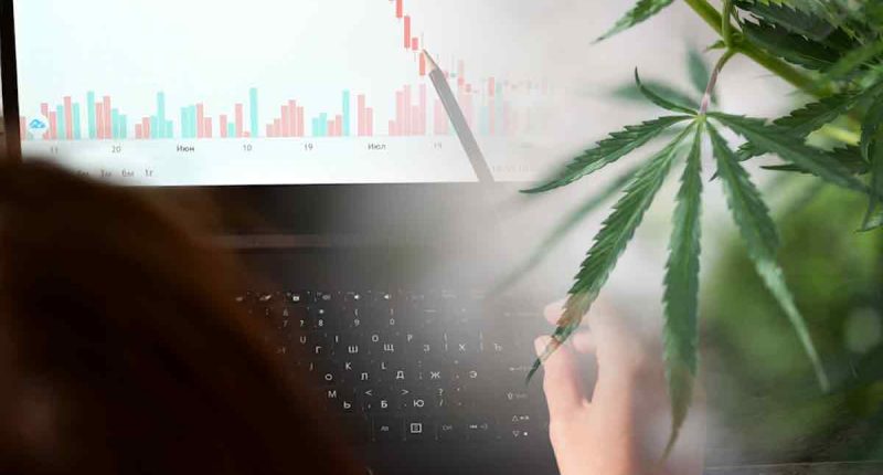 Are You Looking For Cannabis Stocks In July? 2 Penny Stocks To Watch Now