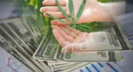 Best Marijuana Stocks August 2022