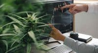 Best Pot Stocks In July 2022 Right Now