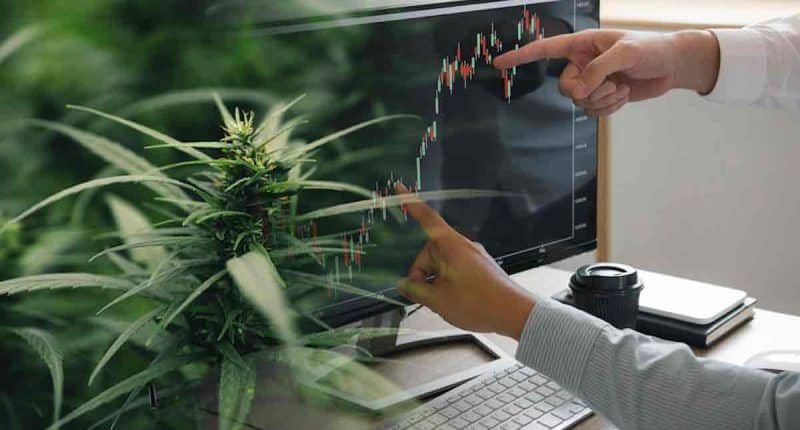 Best Pot Stocks In July 2022 Right Now