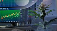 Cannabis Stocks Last Week of July 2022