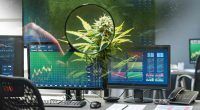 Cannabis Stocks To Watch This Week In January