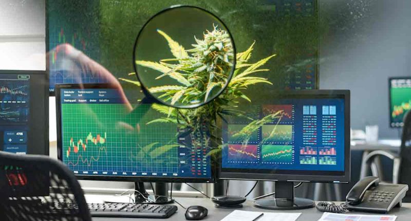 Cannabis Stocks To Watch This Week In January