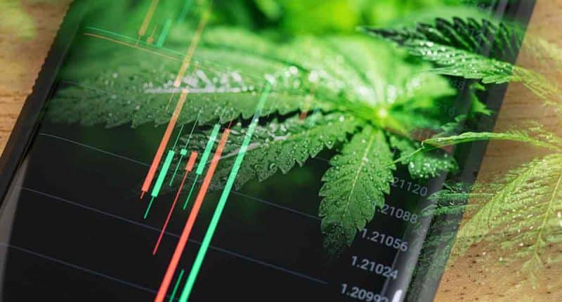 Marijuana Stocks To Buy December