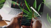 Top Marijuana Stocks Delivering Gains Before August 2022