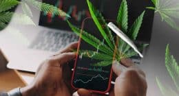 Top Marijuana Stocks Delivering Gains Before August 2022