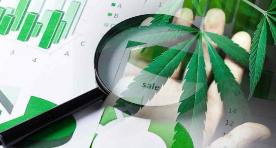 Top Marijuana Stocks for October 2025: U.S. MSOs Showing Strength and Growth Potential