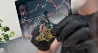 Best Cannabis Stocks To Buy Long Term? 2 To Watch Before August